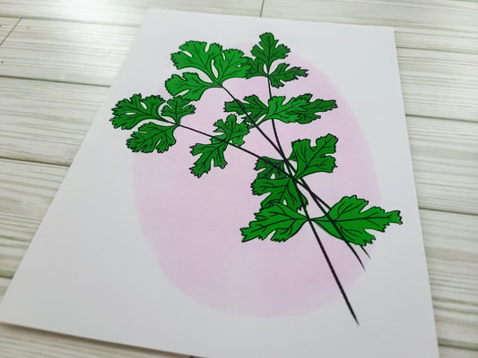 Cilantro Print