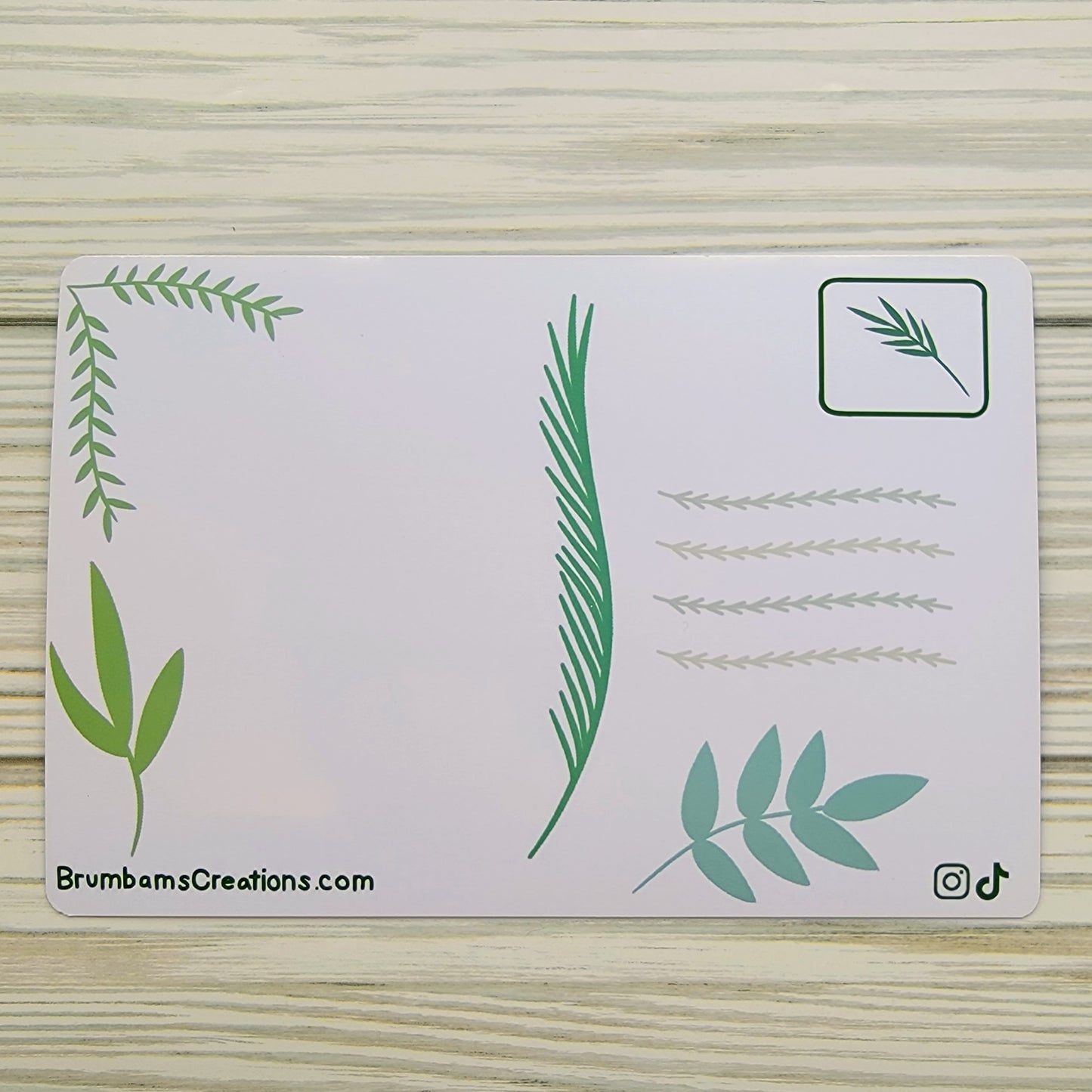 Snake Postcard - Back Shot