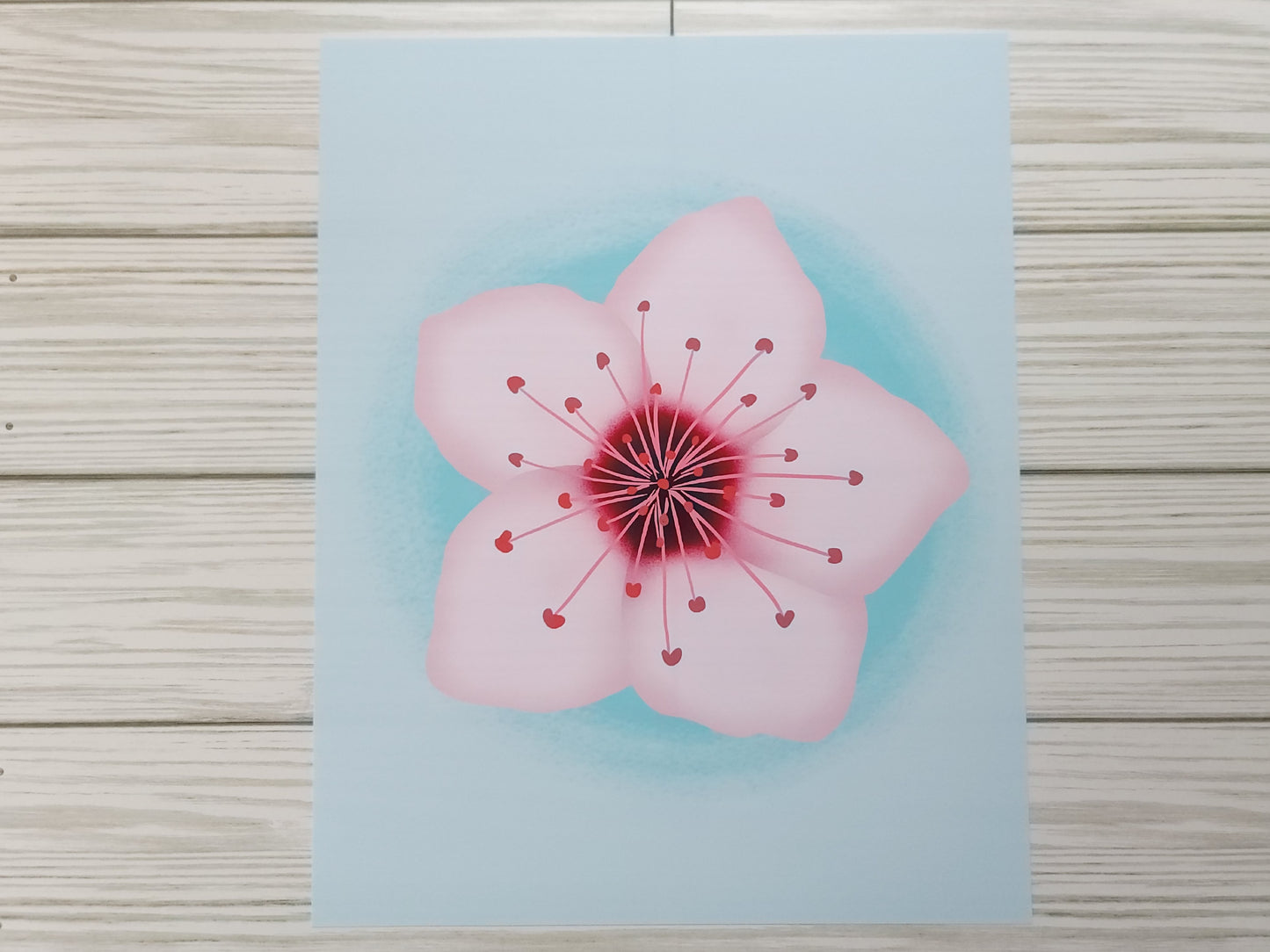 Cherry Blossom Print