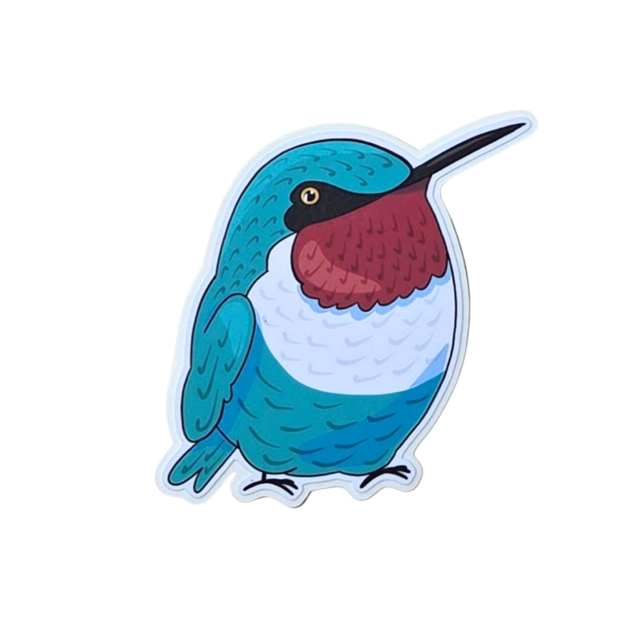 Humming Bird Sticker