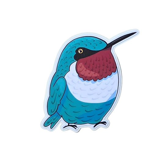 Humming Bird Sticker